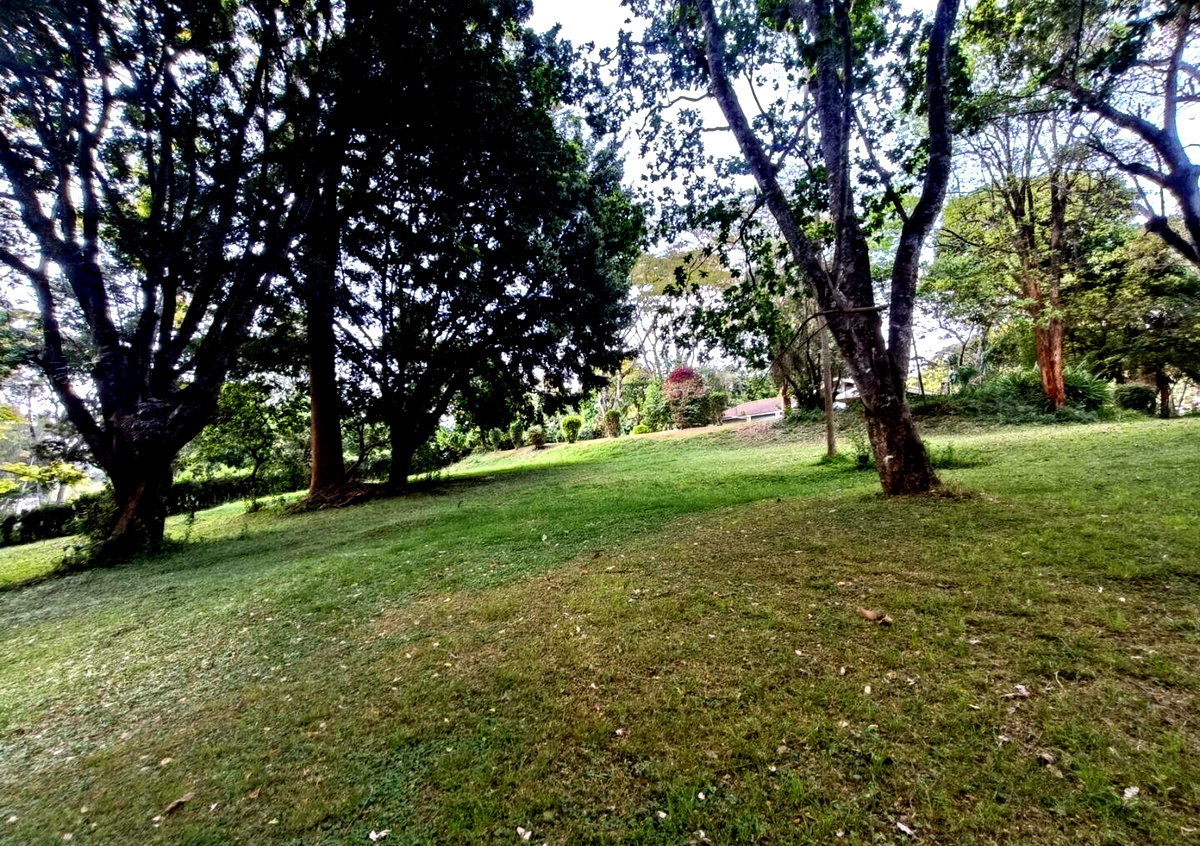 5-Acre Garden Plot with Parking at KSh 500M