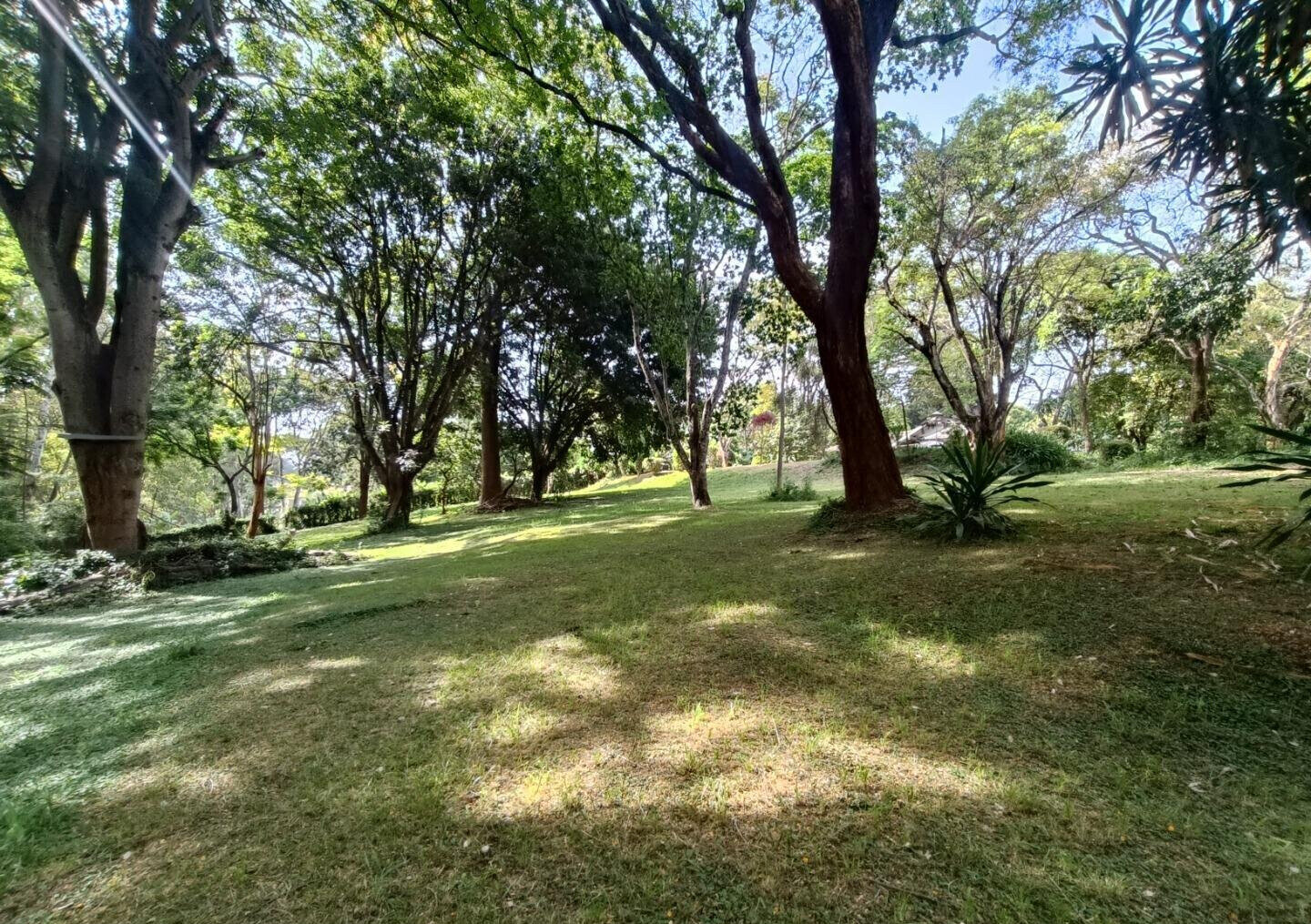 5-Acre Garden Plot with Parking at KSh 500M