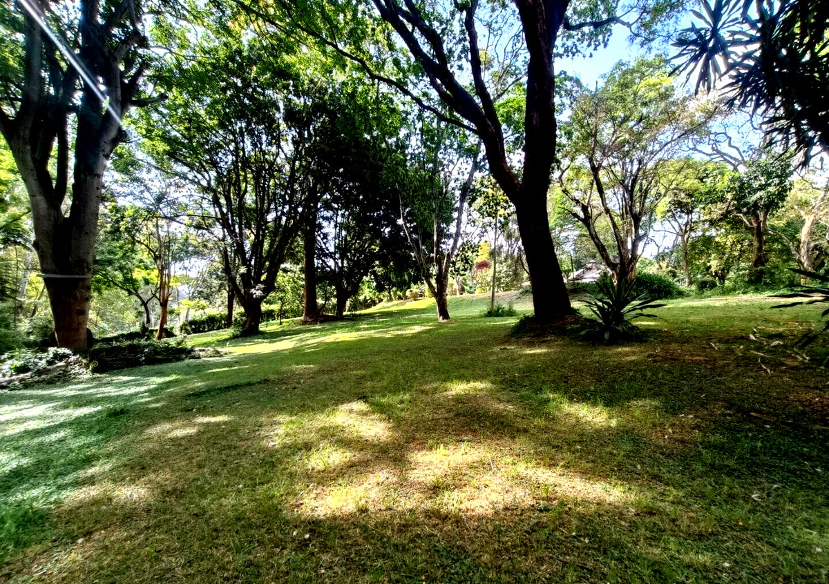5-Acre Garden Plot with Parking at KSh 500M