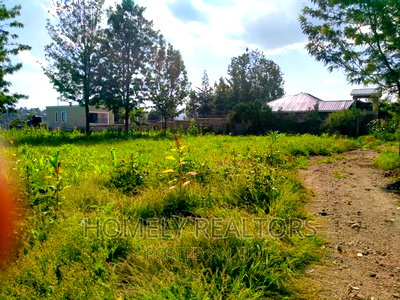 Residential Eighth-Acre Plot in Ongata Rongai Nkoroi, Oloika - Image 2