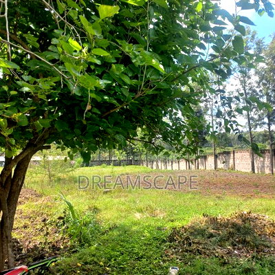 Prime 0.5 Acre in Karen Plains. Perfect for Devel - Image 3