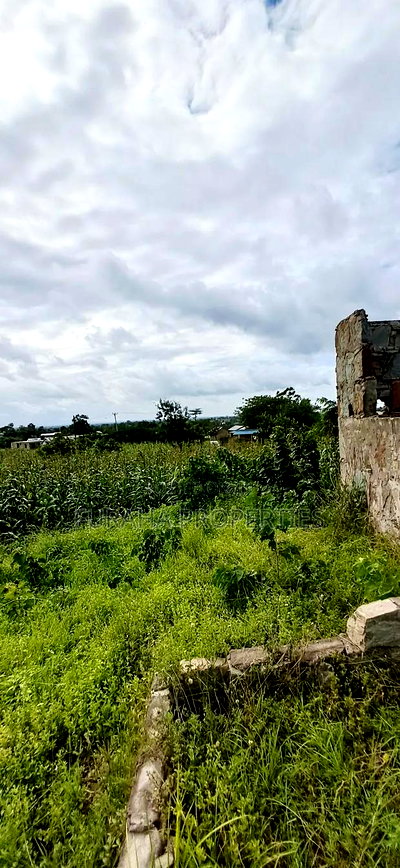 For Leese 4.2 Acres Mariakani - Image 6