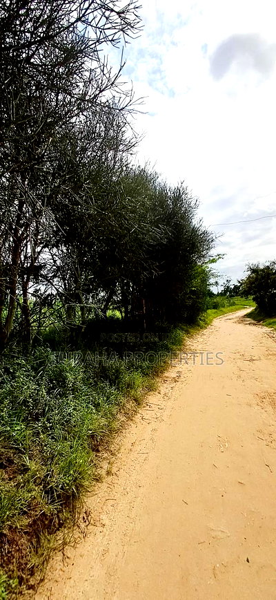 For Leese 4.2 Acres Mariakani - Image 5