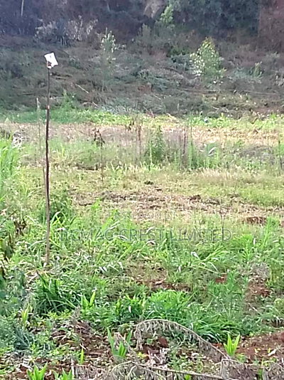 Plots for Sale Near Tilisi Developments - Image 1