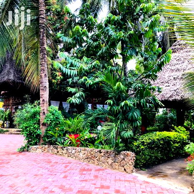 For Sale 2 Acres Land With A 4 Bedrooms Villa Mtwapa - Image 3