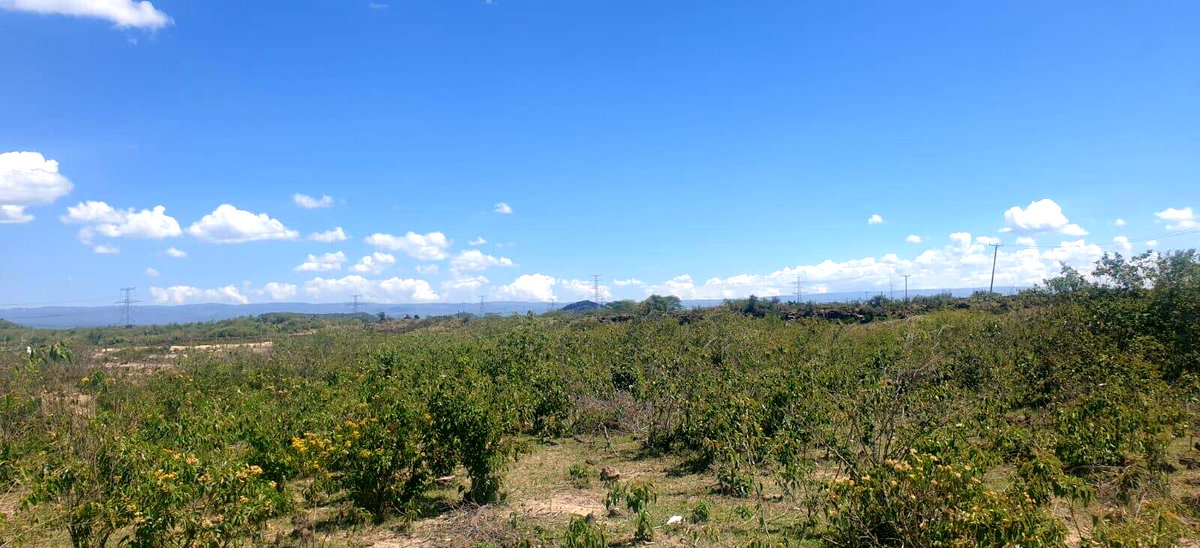 2-Acre Plot in Elementaita for KSh 5M