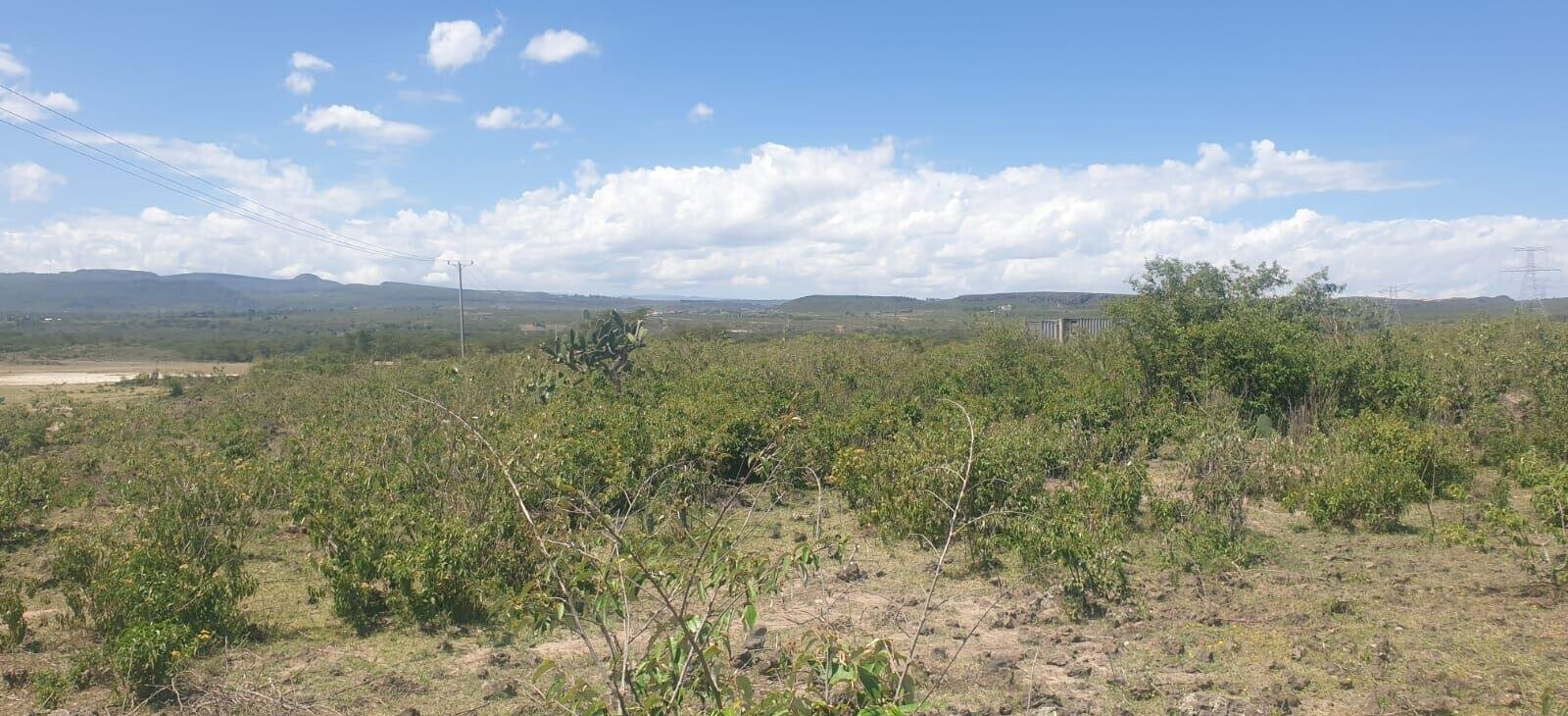 2-Acre Plot in Elementaita for KSh 5M