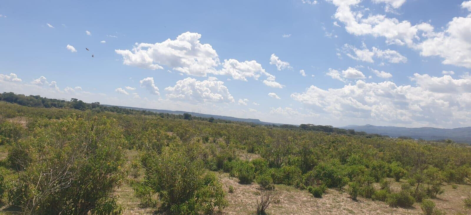 2-Acre Plot in Elementaita for KSh 5M