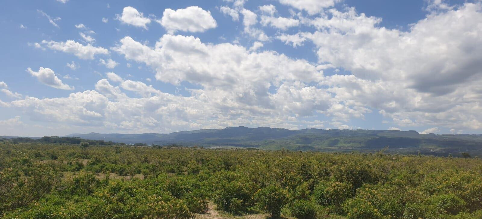 2-Acre Plot in Elementaita for KSh 5M