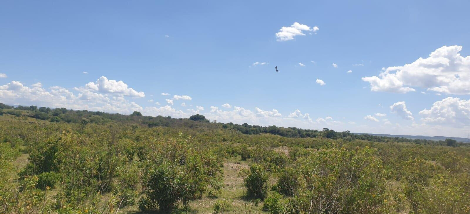 2-Acre Plot in Elementaita for KSh 5M