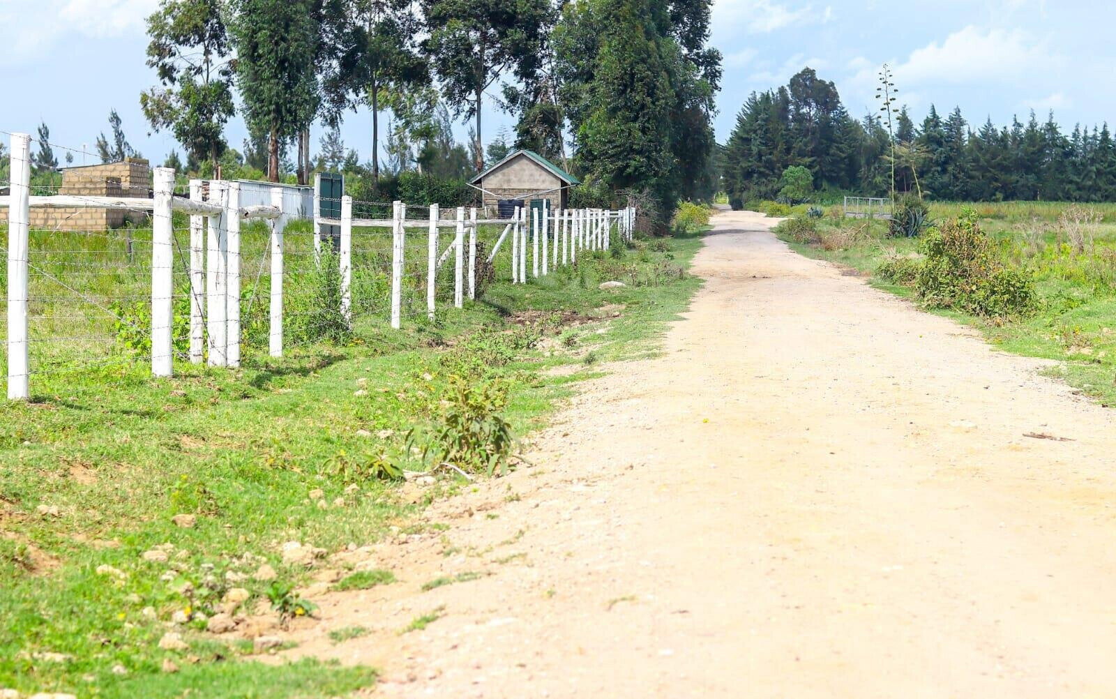 1/8 Acre Plot in Naivasha