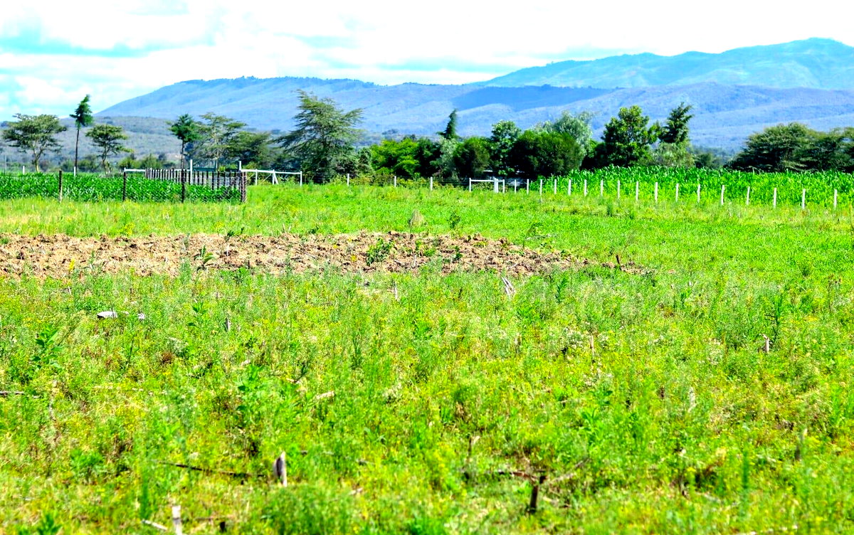 1/8 Acre Plot in Naivasha