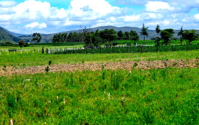 1/8 Acre Plot in Naivasha