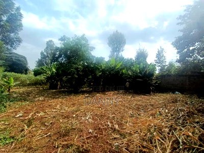 1/4 Plot in Kiamumbi Kiambu for Sale - Image 5