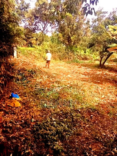 1/4 Plot in Kiamumbi Kiambu for Sale - Image 6