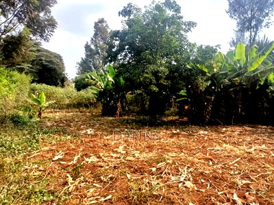 1/4 Plot in Kiamumbi Kiambu for Sale - Image 4