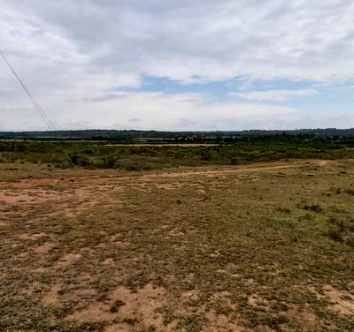 9-Acre Land with Blue Gum Trees at KSh 2.5M