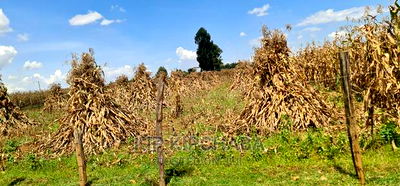 1 Acre for Sale Merewet 100 Metres From Highway Eldoret - Image 11