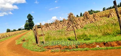 1 Acre for Sale Merewet 100 Metres From Highway Eldoret - Image 6