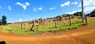 1 Acre for Sale Merewet 100 Metres From Highway Eldoret - Image 1