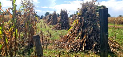 1 Acre for Sale Merewet 100 Metres From Highway Eldoret - Image 2