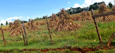 1 Acre for Sale Merewet 100 Metres From Highway Eldoret - Image 9