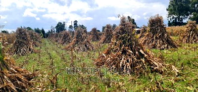 1 Acre for Sale Merewet 100 Metres From Highway Eldoret - Image 3