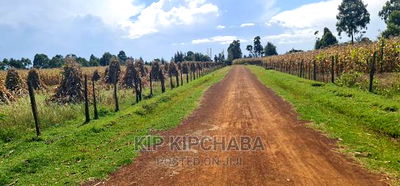 1 Acre for Sale Merewet 100 Metres From Highway Eldoret - Image 7