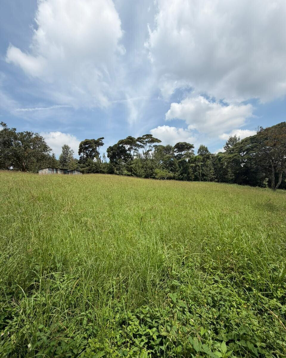 KSh 650M Prime Land Deal