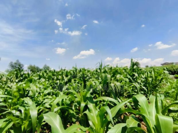 Residential Plot on Sale at Kiambu Anmer