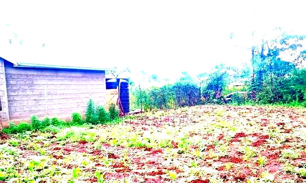 100x100 Plot for Sale in Kerwa Gacuthi