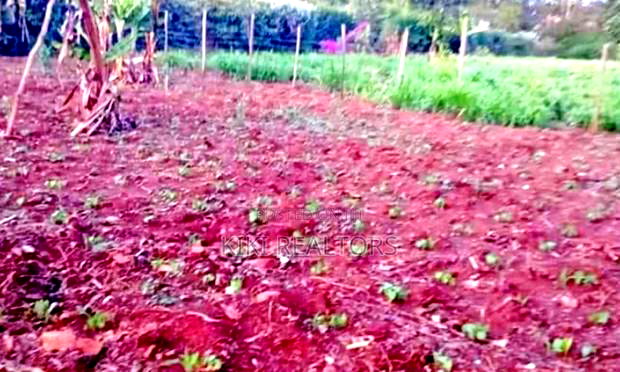 100x100 Plot for Sale in Kerwa Gacuthi
