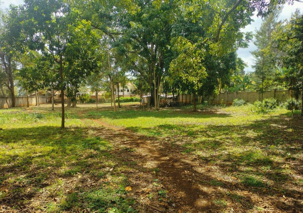 Garden Plot with Parking at KSh 200M