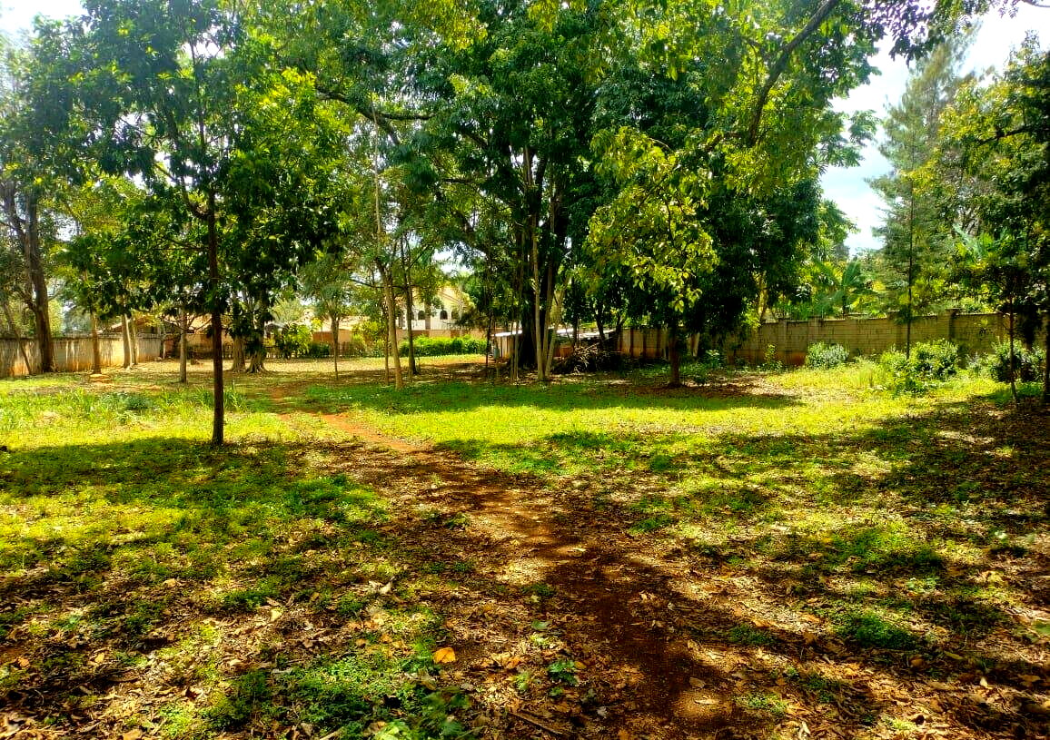 Garden Plot with Parking at KSh 200M