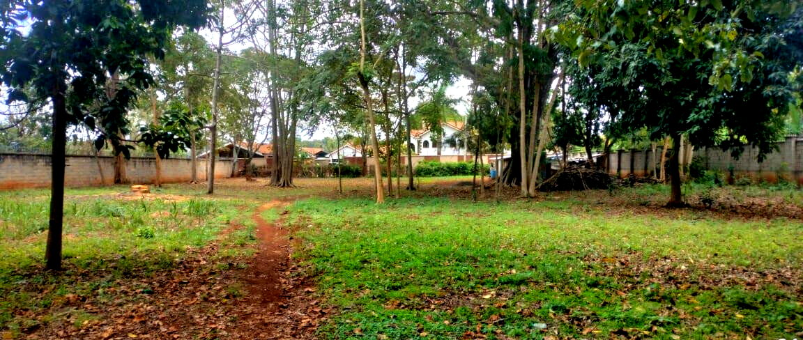 Garden Plot with Parking at KSh 200M