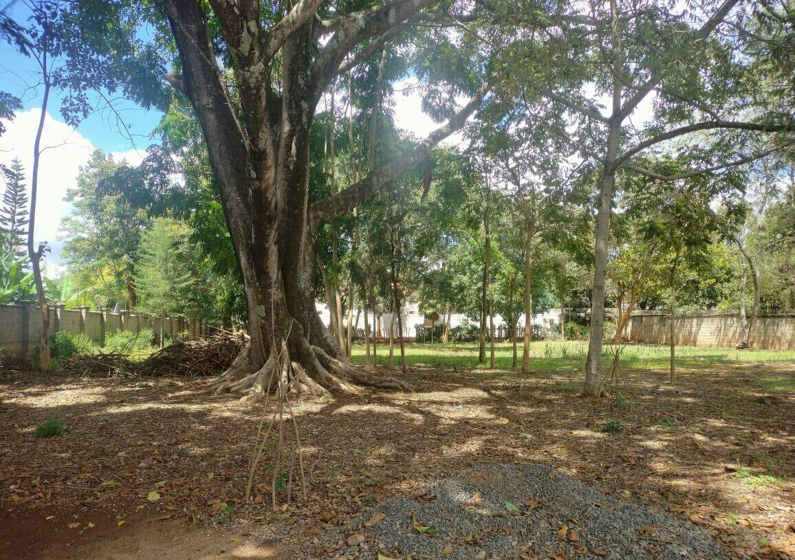 Garden Plot with Parking at KSh 200M