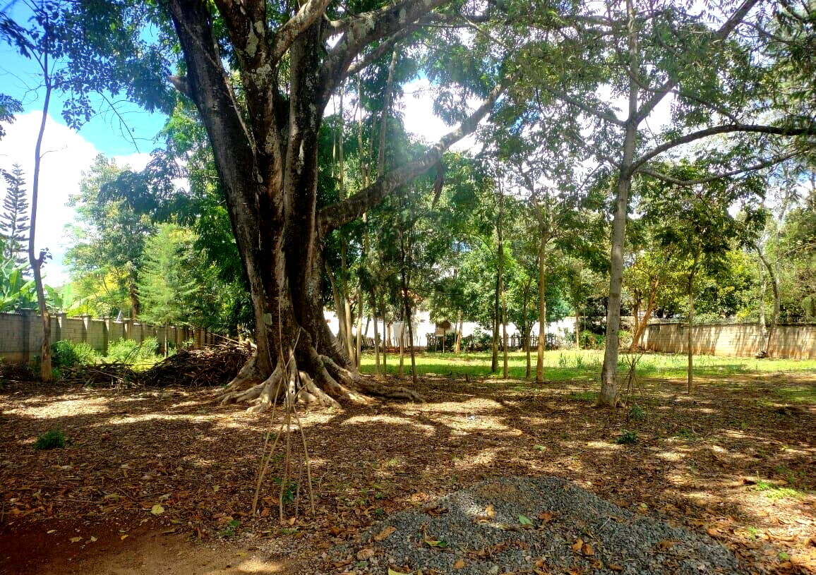 Garden Plot with Parking at KSh 200M