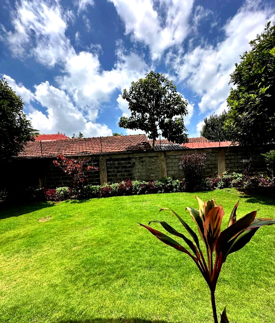 5-Ensuite Townhouse with Family Room & Manicured Garden - Lavington