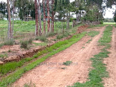Affordable 50x100 Serene Plots - Image 3