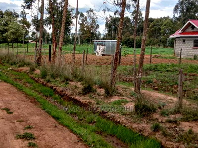 Affordable 50x100 Serene Plots - Image 1