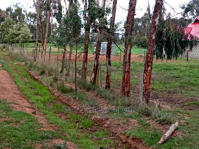 Affordable 50x100 Serene Plots - Image 4