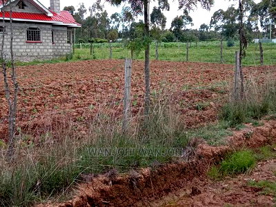 Affordable 50x100 Serene Plots - Image 2