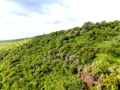 107 Acres Olmeroi ,Saikeri - Image 10