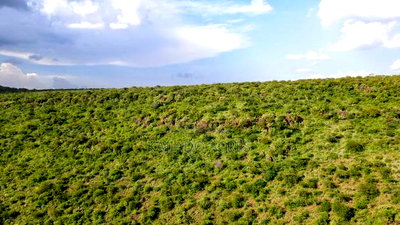 107 Acres Olmeroi ,Saikeri - Image 4