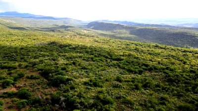 107 Acres Olmeroi ,Saikeri - Image 9