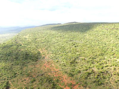 107 Acres Olmeroi ,Saikeri - Image 8