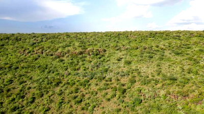 107 Acres Olmeroi ,Saikeri - Image 6