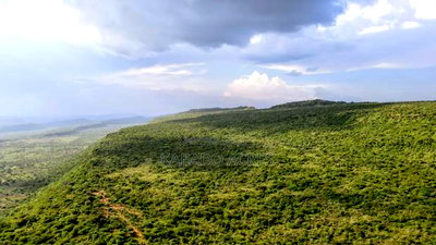 107 Acres Olmeroi ,Saikeri - Image 2