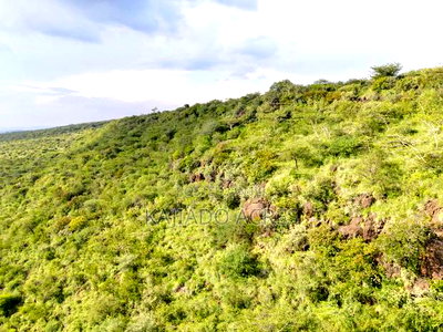 107 Acres Olmeroi ,Saikeri - Image 5