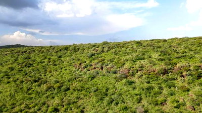 107 Acres Olmeroi ,Saikeri - Image 3